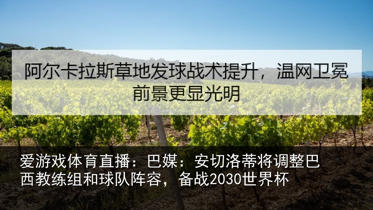 爱游戏体育直播：巴媒：安切洛蒂将调相关情况队阵容，备战2030世界杯