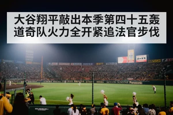 baseball stadium night