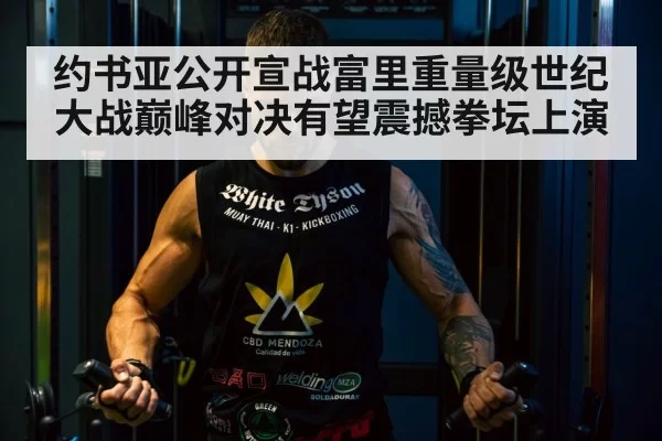 Tyson Fury boxing