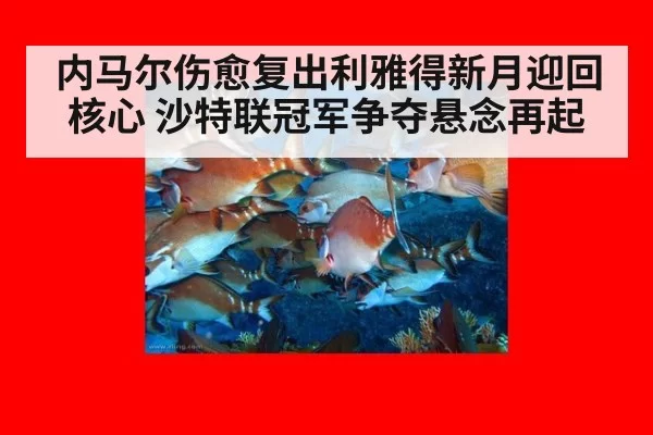 内马尔伤愈复出利雅得新月迎回核心 沙特联冠军争夺悬念再起