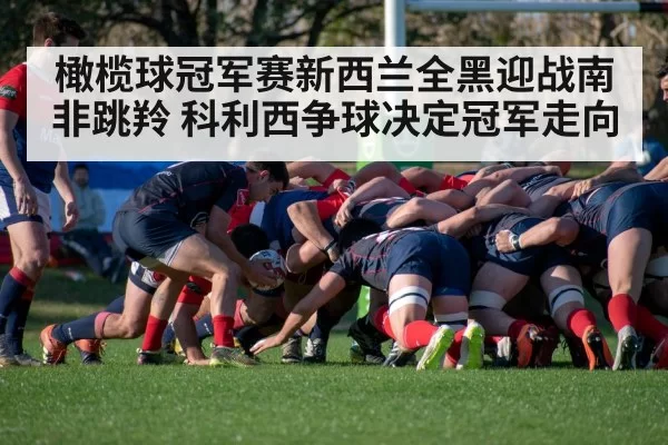 橄榄球冠军赛新西兰全黑迎战南非跳羚 科利西争球决定冠军走向